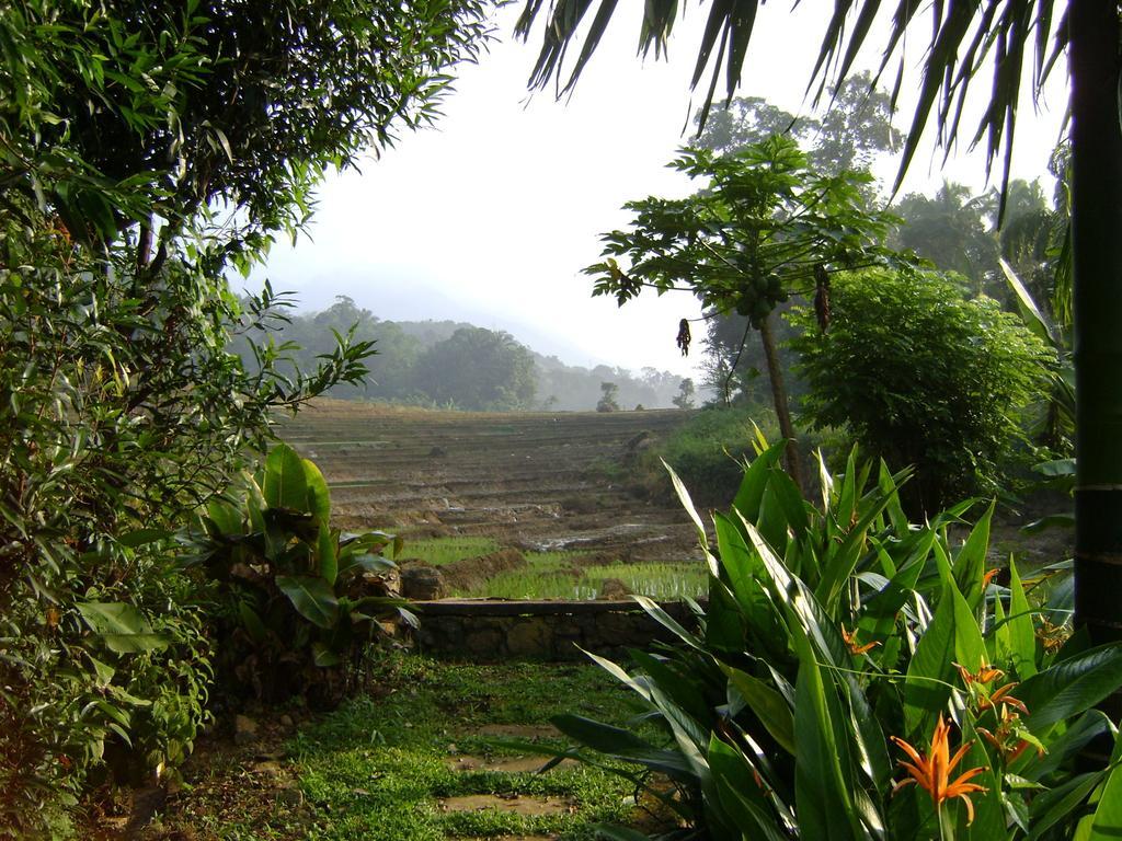 Landa Holiday House เบลิฮุล โอยา ภายนอก รูปภาพ